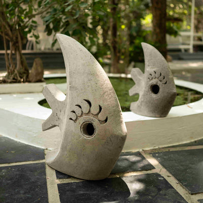 Eye of the Fish