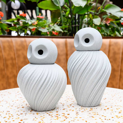 Swirleye