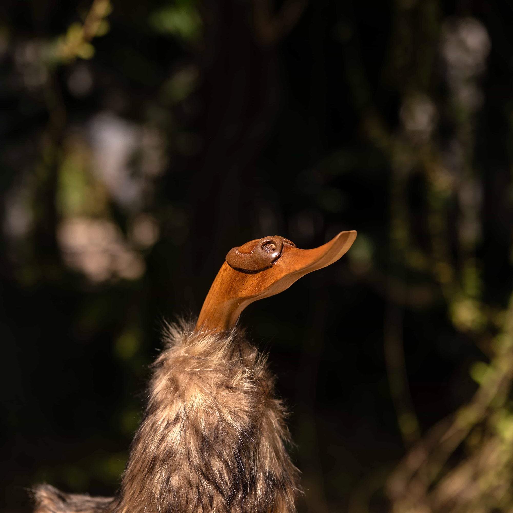 Avian