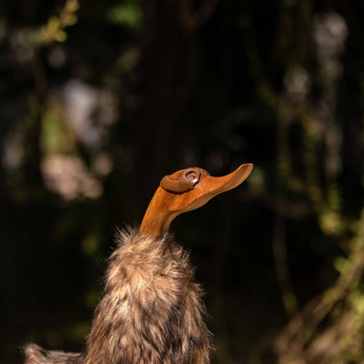 Avian