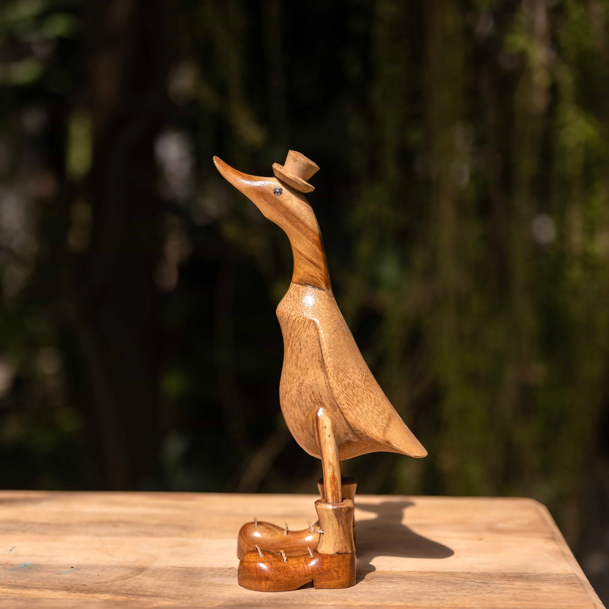 Dapper Duck