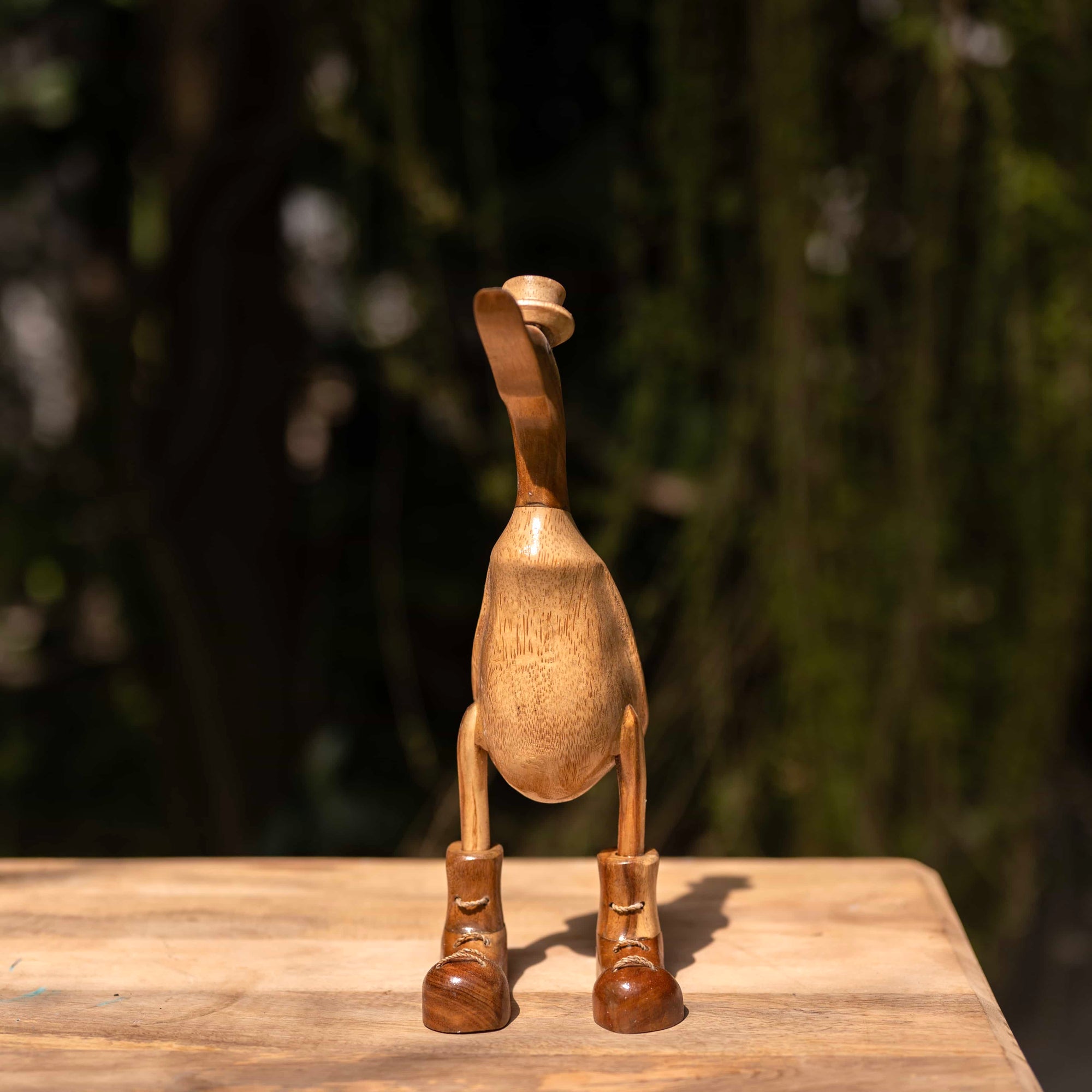 Dapper Duck