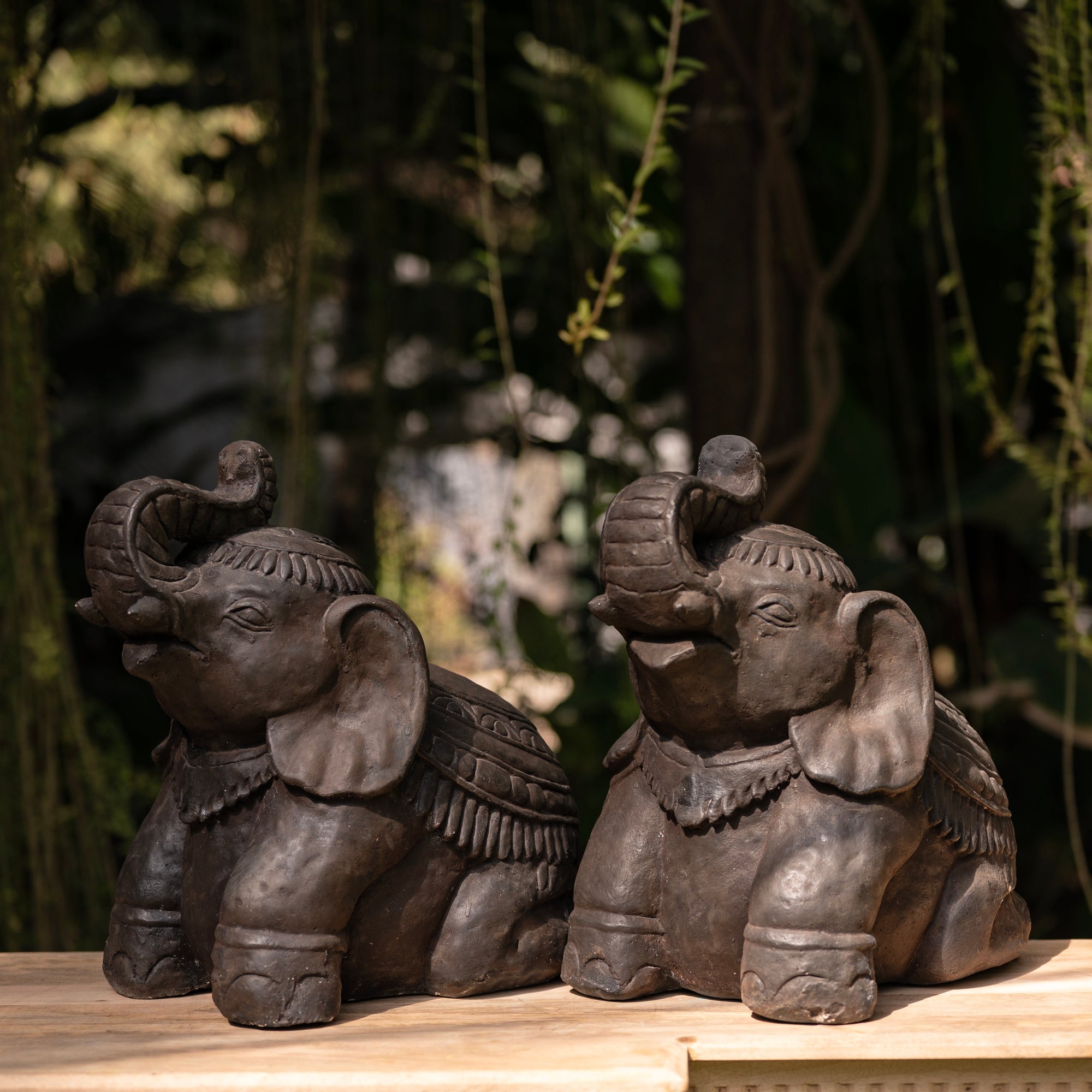 Nava