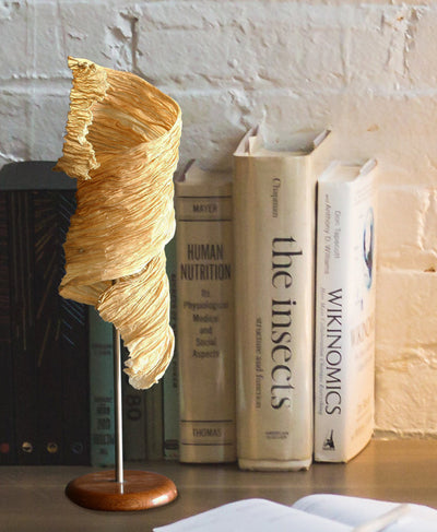 Leaf Curl Table Lamp