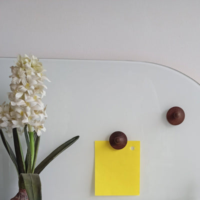 Capsule Magnet & Paperweight - Set of 3