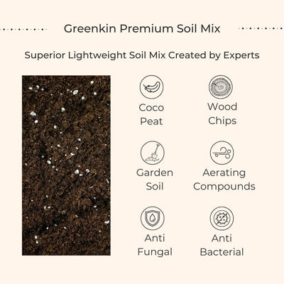 Three Plants Combo for Home Decor in Metal Pots (Small)